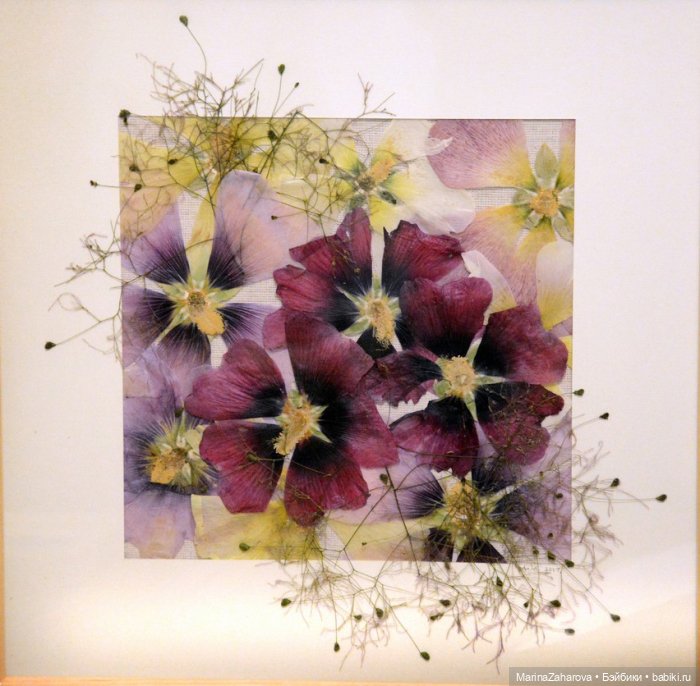 Прекрасное рядом — Другие хобби и увлечения: сад