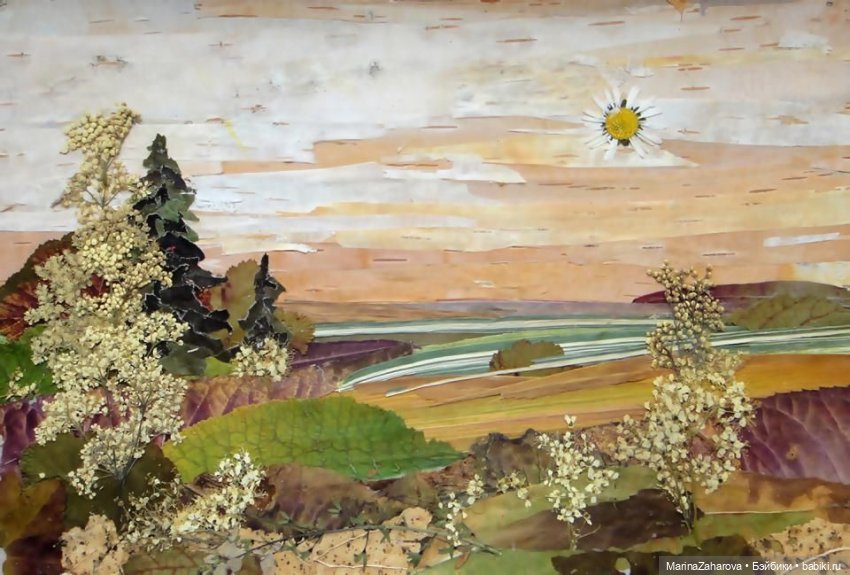 Прекрасное рядом — Другие хобби и увлечения: сад (фото 8)