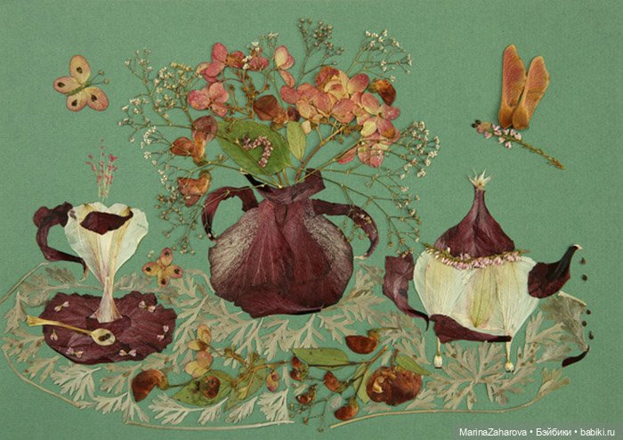 Прекрасное рядом — Другие хобби и увлечения: сад