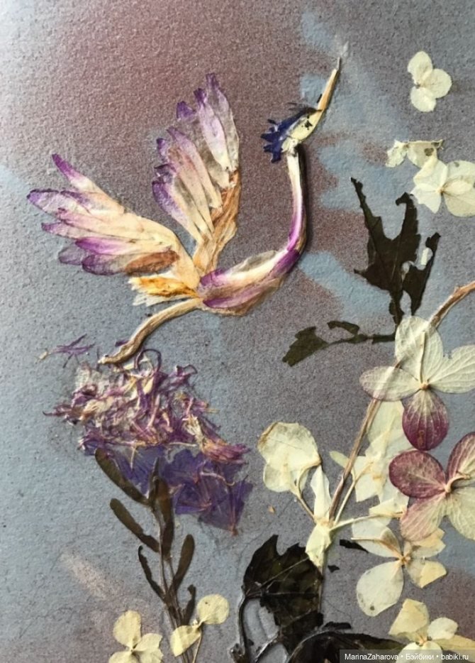 Прекрасное рядом — Другие хобби и увлечения: сад