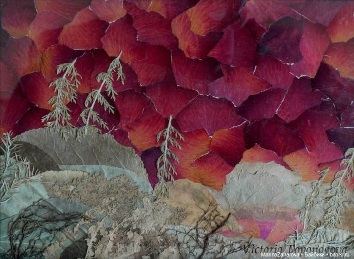 Прекрасное рядом — Другие хобби и увлечения: сад