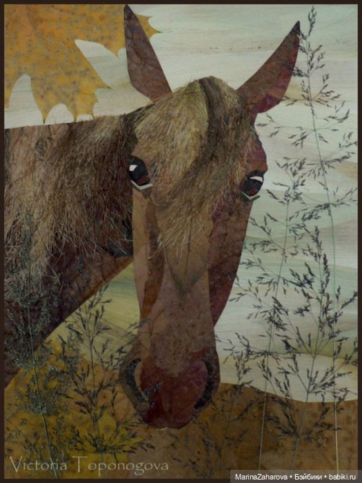 Прекрасное рядом — Другие хобби и увлечения: сад (фото 10)