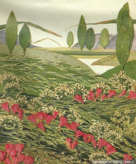 Прекрасное рядом — Другие хобби и увлечения: сад