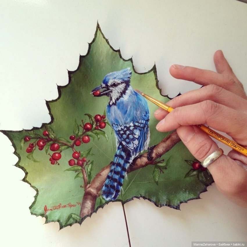 Прекрасное рядом | Бэйбики Прекрасное рядом — Другие хобби и увлечения: сад (фото 7)