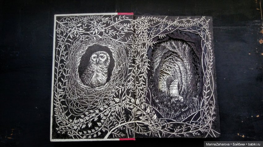 Прекрасное рядом | Бэйбики Прекрасное рядом — Другие хобби и увлечения: сад