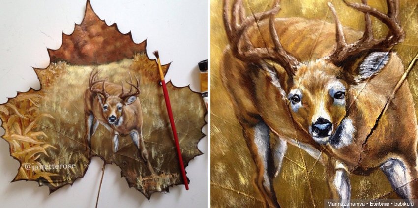 Прекрасное рядом | Бэйбики Прекрасное рядом — Другие хобби и увлечения: сад (фото 3)