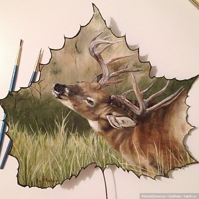 Прекрасное рядом | Бэйбики Прекрасное рядом — Другие хобби и увлечения: сад