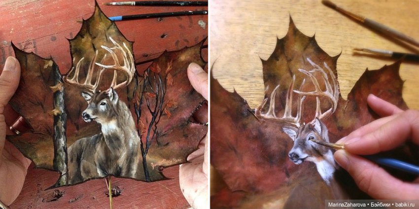 Прекрасное рядом | Бэйбики Прекрасное рядом — Другие хобби и увлечения: сад (фото 5)