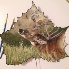 Прекрасное рядом