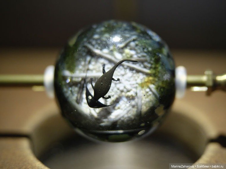 Прекрасное рядом — Другие хобби и увлечения: сад (фото 6)