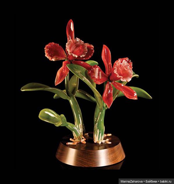 Прекрасное рядом | Бэйбики Прекрасное рядом — Другие хобби и увлечения: сад (фото 5)