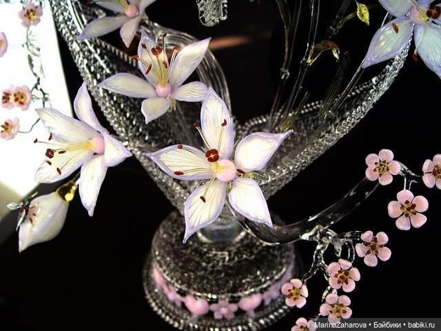 Прекрасное рядом | Бэйбики Прекрасное рядом — Другие хобби и увлечения: сад