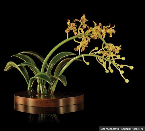 Прекрасное рядом | Бэйбики Прекрасное рядом — Другие хобби и увлечения: сад (фото 9)