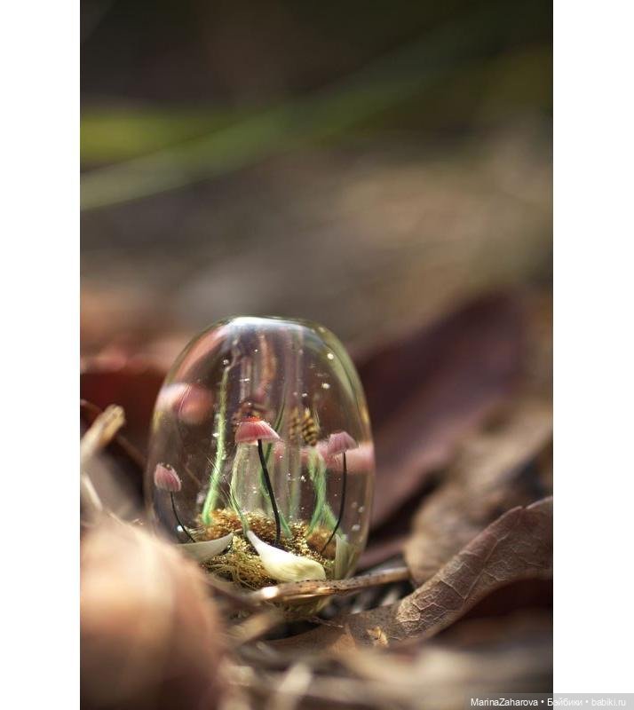 Прекрасное рядом — Другие хобби и увлечения: сад