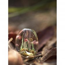 Прекрасное рядом