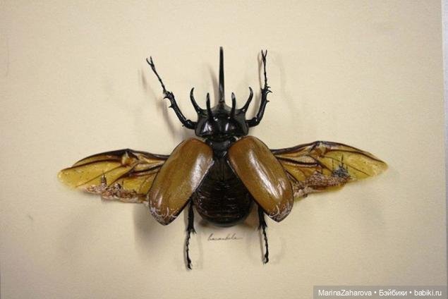 Необычные картины — Другие хобби и увлечения: сад (фото 7)