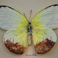 Необычные картины.