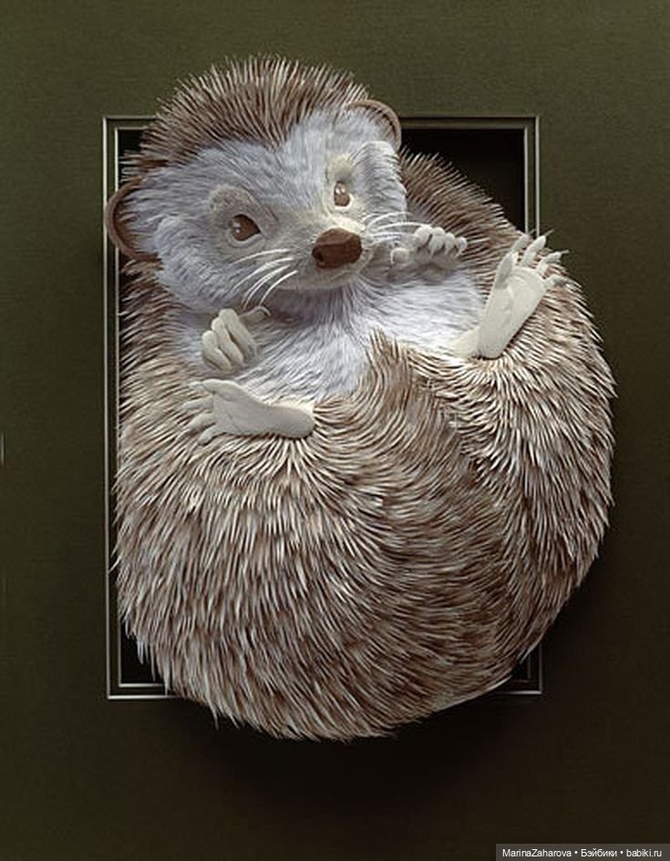 Прекрасное рядом — Другие хобби и увлечения: сад