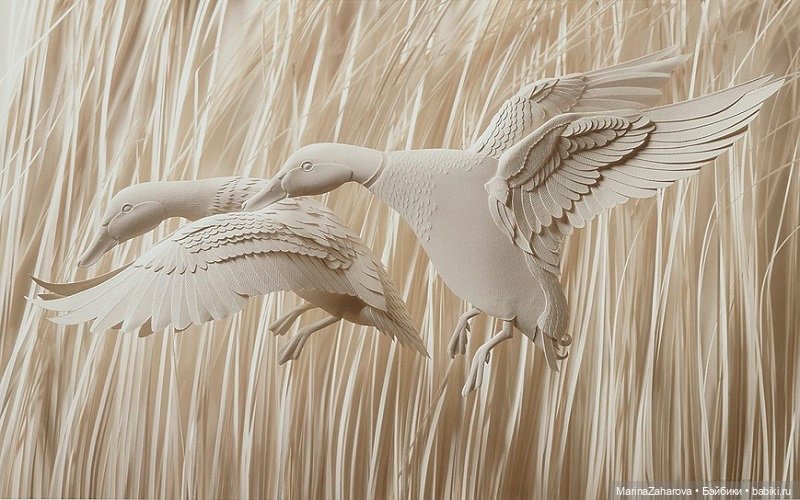 Прекрасное рядом — Другие хобби и увлечения: сад