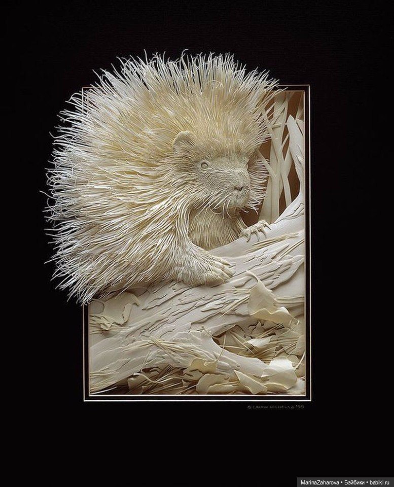 Прекрасное рядом — Другие хобби и увлечения: сад