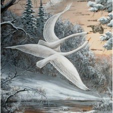 Прекрасное рядом