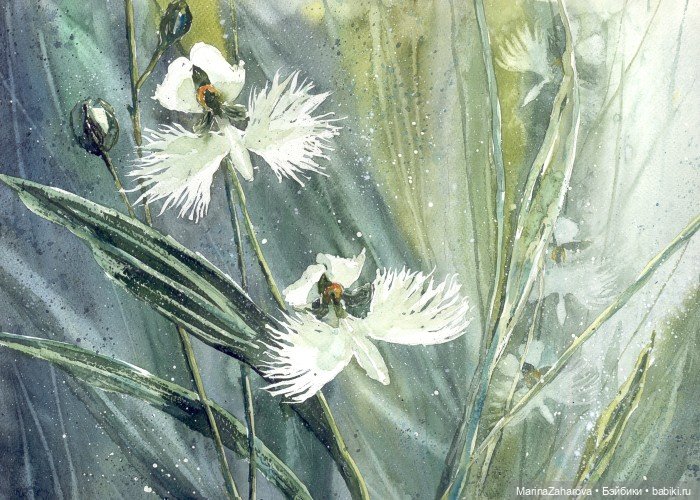 Прекрасное рядом — Интересное и необычное: фотоподборки