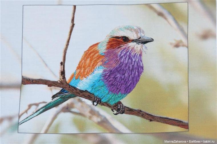 Прекрасное рядом — Интересное и необычное: фотоподборки