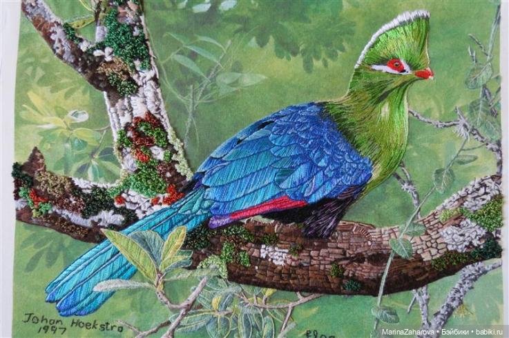 Прекрасное рядом — Интересное и необычное: фотоподборки (фото 6)