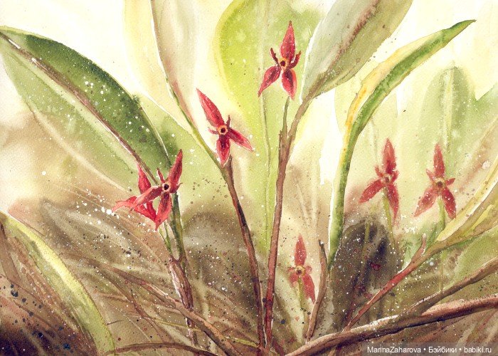 Прекрасное рядом — Интересное и необычное: фотоподборки (фото 10)