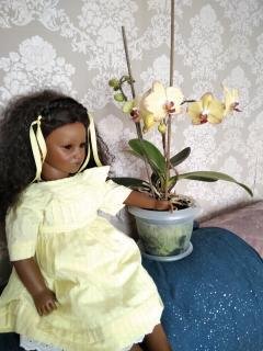 Давайте знакомиться...или МОЯ "Шоколадная сказка" №51.МОИ ПРЕКРАСНЫЕ ХИМОЧКИ