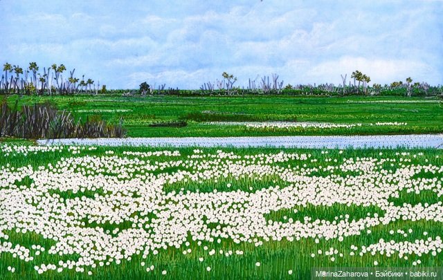 Прекрасное рядом — Интересное и необычное: фотоподборки (фото 3)