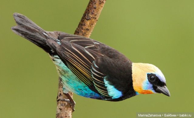 Прекрасное рядом — Болталка и разговоры обо всем: жизнь