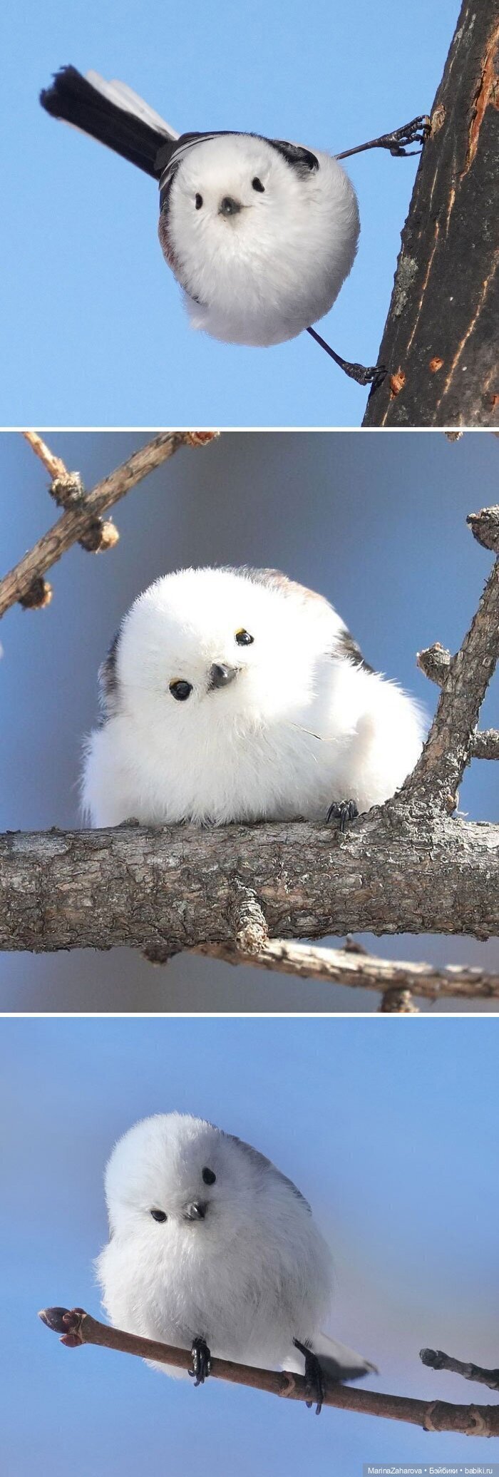 Прекрасное рядом — Болталка и разговоры обо всем: жизнь