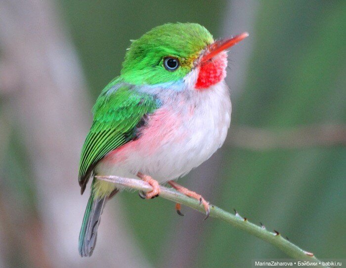 Прекрасное рядом — Болталка и разговоры обо всем: жизнь