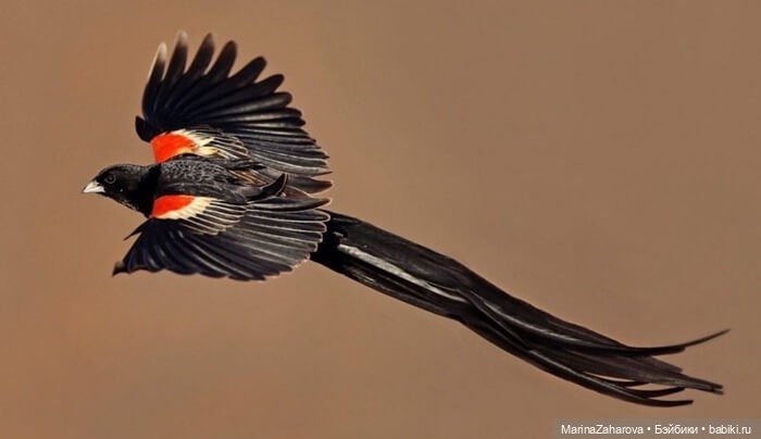 Прекрасное рядом — Болталка и разговоры обо всем: жизнь