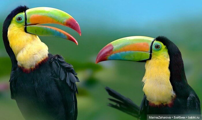 Прекрасное рядом — Болталка и разговоры обо всем: жизнь