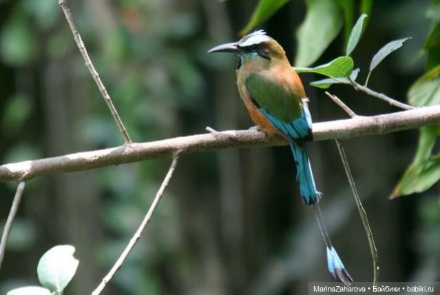 Прекрасное рядом — Болталка и разговоры обо всем: жизнь