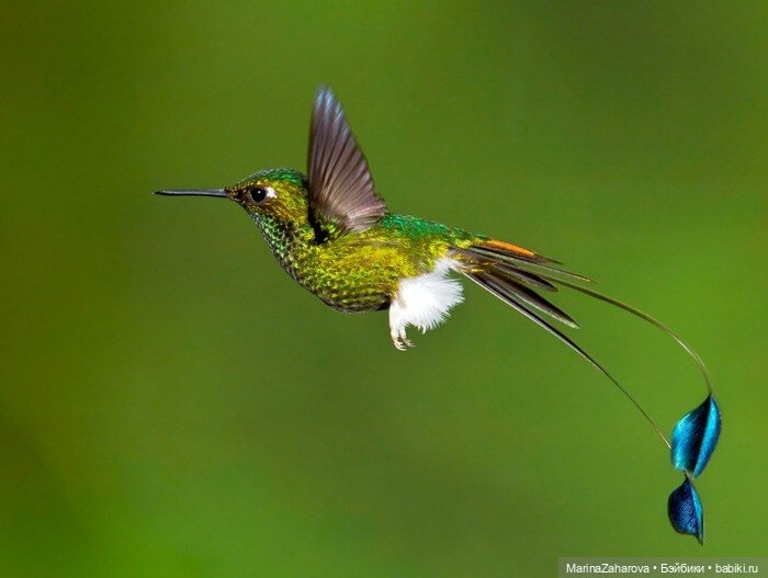 Прекрасное рядом — Болталка и разговоры обо всем: жизнь