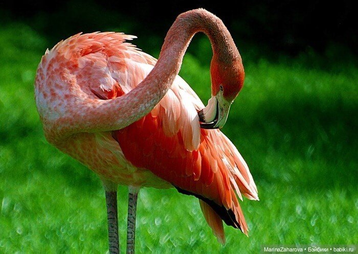 Прекрасное рядом — Болталка и разговоры обо всем: жизнь