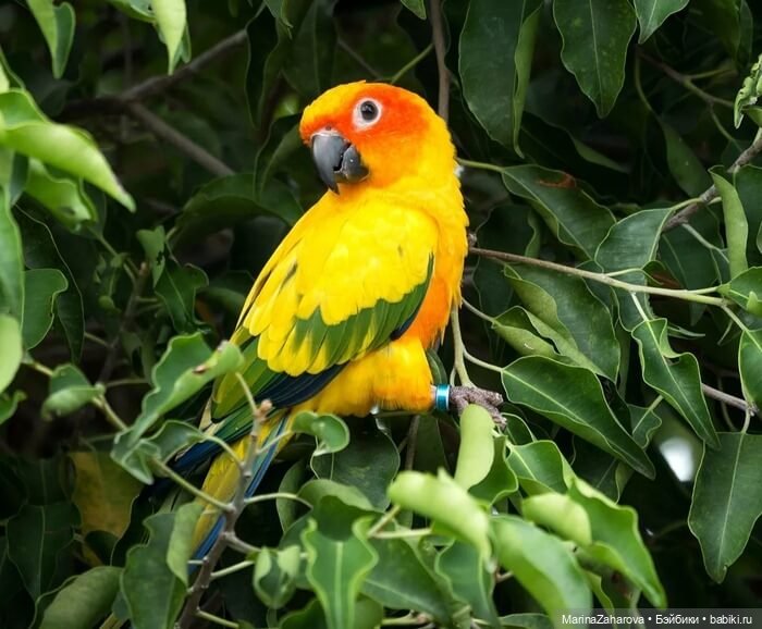 Прекрасное рядом — Болталка и разговоры обо всем: жизнь