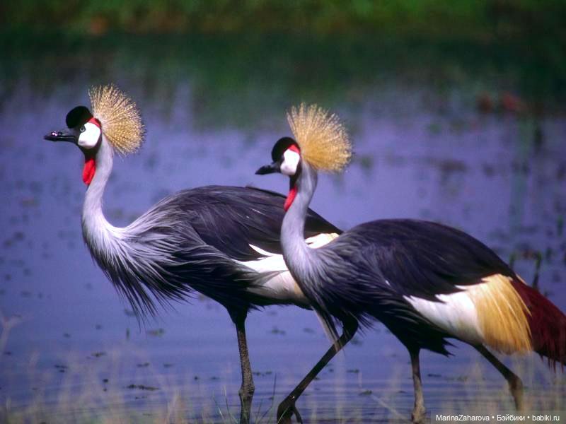 Прекрасное рядом — Болталка и разговоры обо всем: жизнь