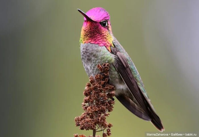Прекрасное рядом — Болталка и разговоры обо всем: жизнь