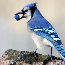 Прекрасное рядом