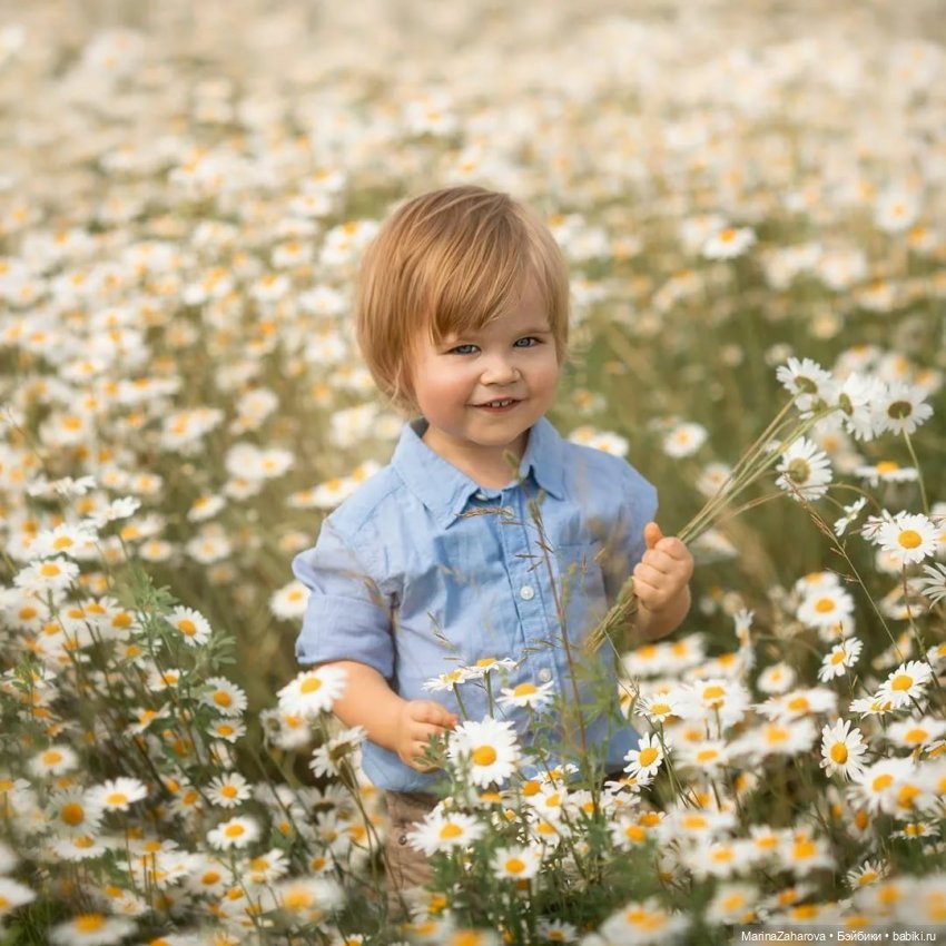 Подари мне облако ромашек