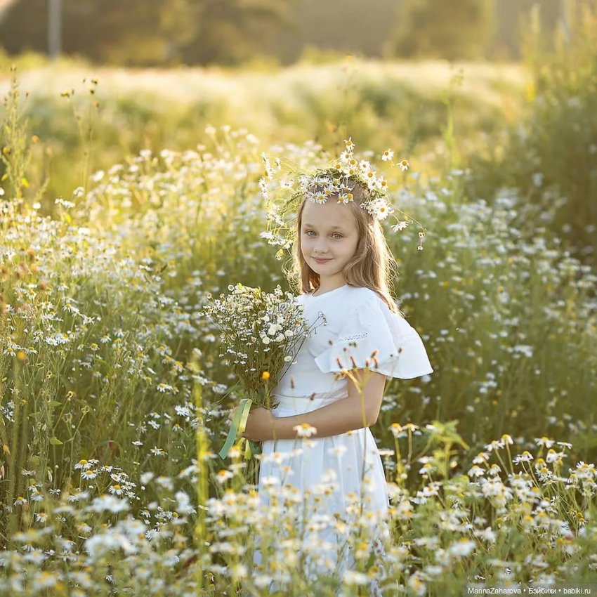 Подари мне облако ромашек