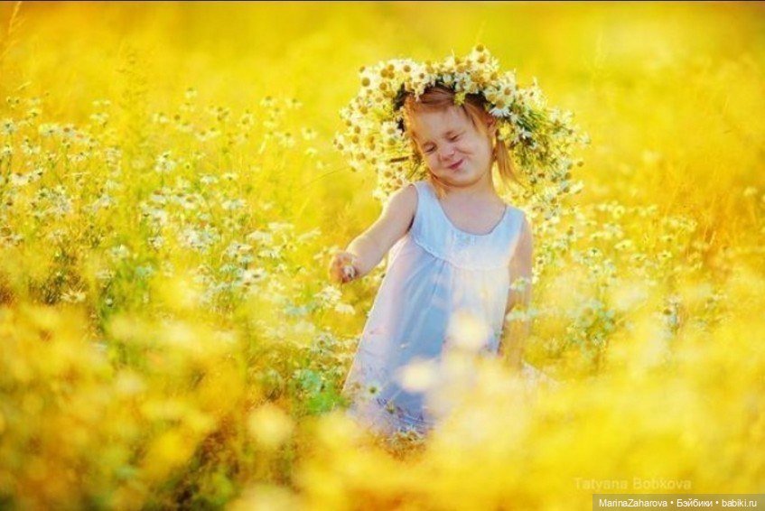 Подари мне облако ромашек