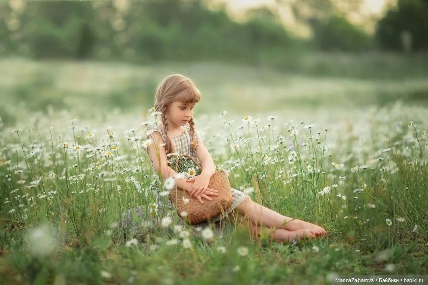 Подари мне облако ромашек