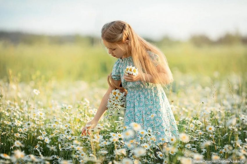 Подари мне облако ромашек