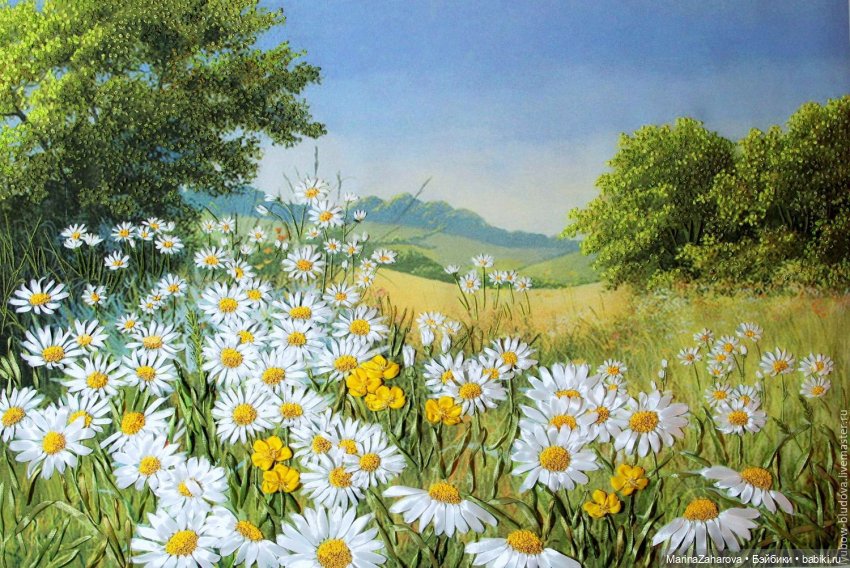 Подари мне облако ромашек