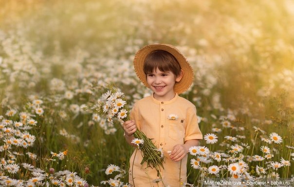 Подари мне облако ромашек